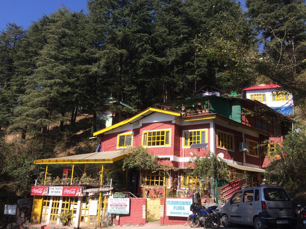 Mcleodganj Bed & Breakfast マクロード・ガンジ エクステリア 写真